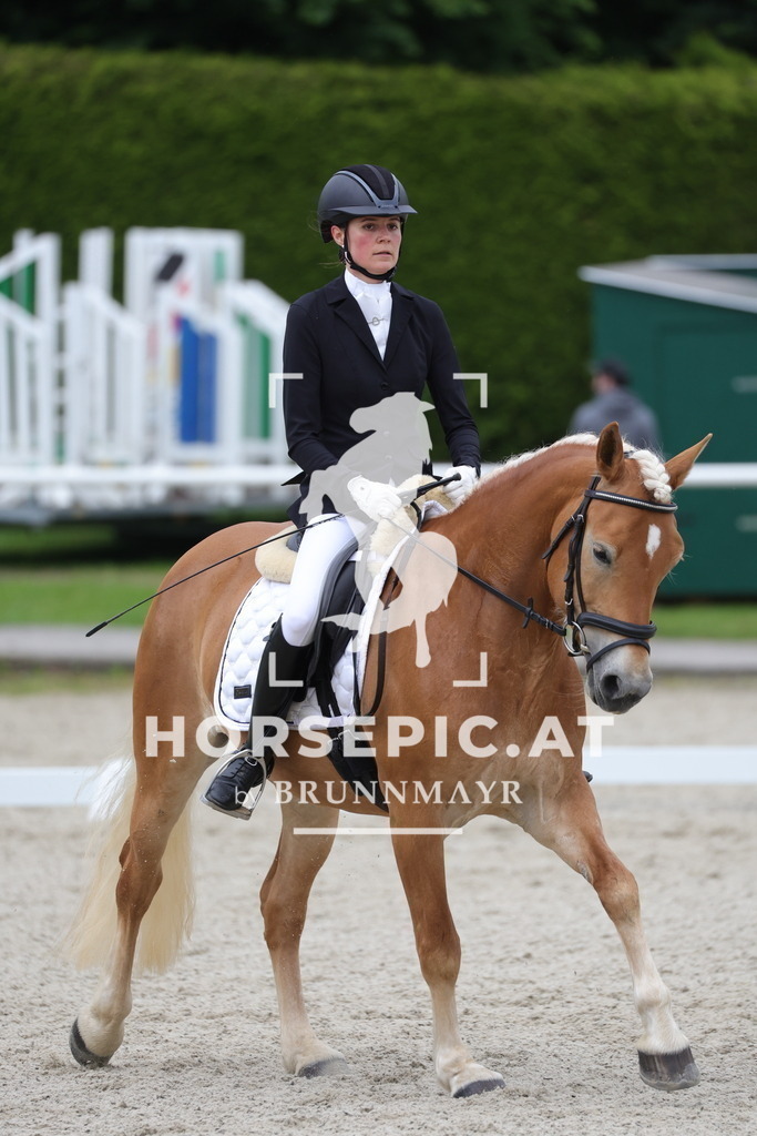 0P6A5249 | Willkommen bei Brunnmayr - Design & Fotografie – Ihrem Spezialisten für Reitturniere und Pferdeveranstaltungen in Oberösterreich, Salzburg und Bayern! Seit über 17 Jahren sind wir leidenschaftlich dabei.