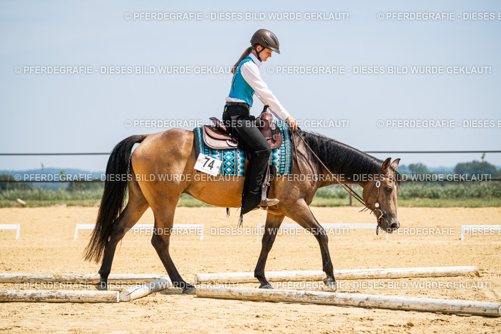 DSC01043 | Pferdegrafie