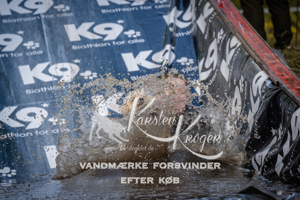 1545_ZZ90671 | kk-dogfotos