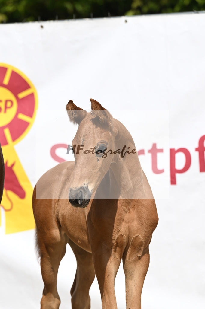 Va Bene x Savoy_HF_Groll_12250339 | hf-fotografie - Realisiert mit Pictrs.com
