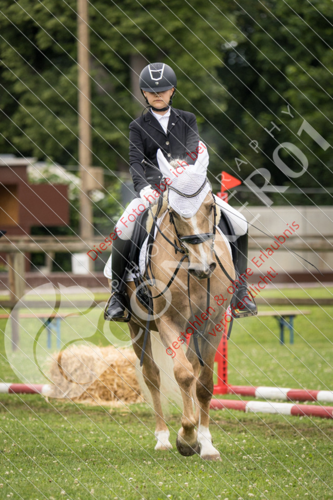 IMG_1730 | Sport-, Event- und Tierfotos in Profiqualität. Einfach auswählen, bestellen und herunterladen. Dein Moment – perfekt festgehalten.