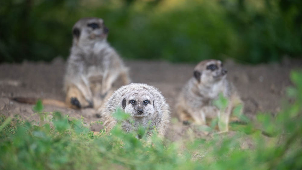 Stukenbrock, Deutschland | Die schönsten Bilder für Ihre Räume online bestellen! In unseren Bildergalerien findet Sie alles was es für Ihre Räume braucht. Lassen Sie sich überraschen ☺️ - Realisiert mit Pictrs.com