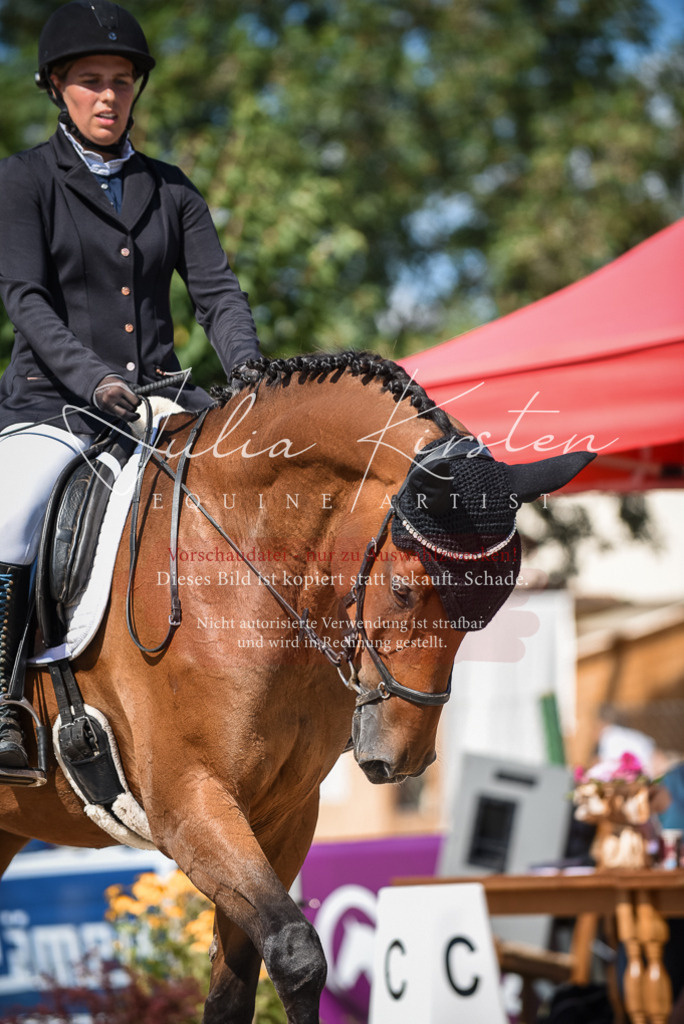 DSC_9672 | Pferde- und Turnierfotografie in Westsachsen. Pferdeportraits, Auftragszeichnungen und intuitive Kunst.