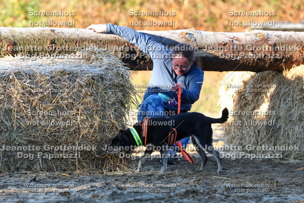 Dog Paparazzi - Strongdog 10-25-696 | Dog Paparazzi Jeanette Grottendiek Fotografie & Videografie - Realisiert mit Pictrs.com