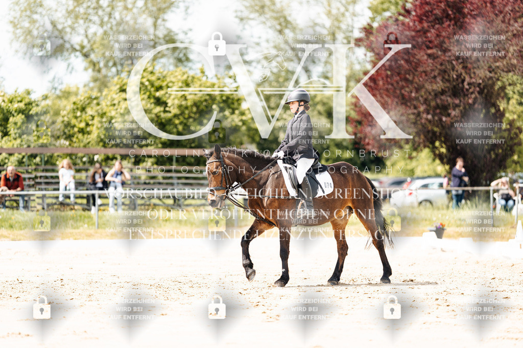 CK901852 | Turnierfotografie Pferdefotografie Trier Rheinland-Pfalz Pferdesport Reitsport Tierfotografie Sportfotografie Pferdevideo Pferdevideografie Equestrianvideography equestrianphotography  - Realisiert mit Pictrs.com