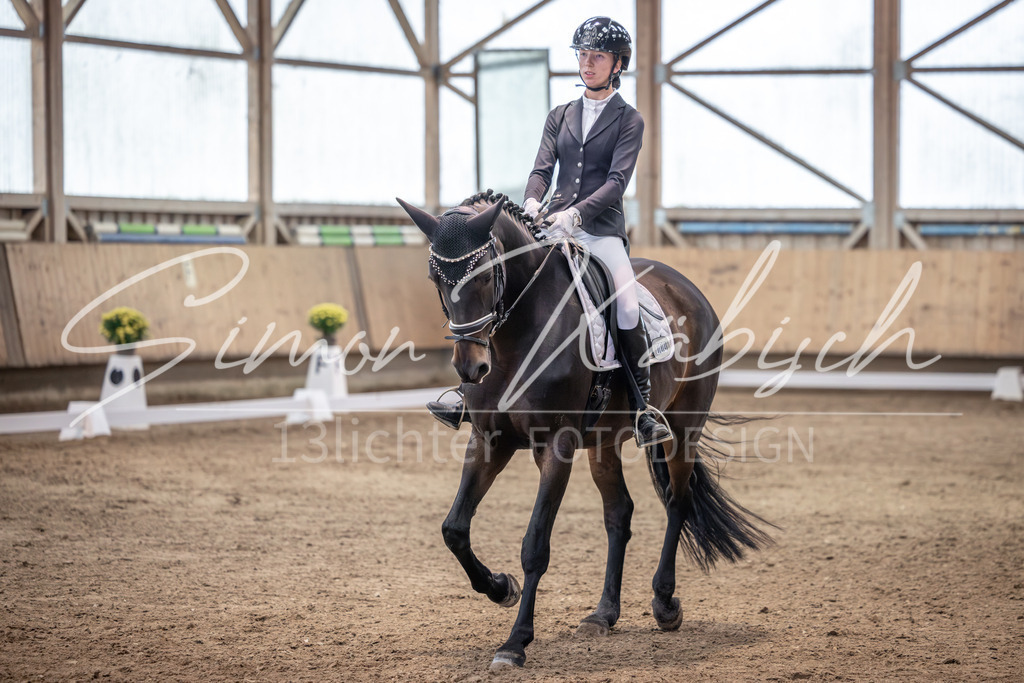 20251011-_3LI1775 | Tierfotografie Pferde, Hunde, Katzen, Haustiere.
Turnierfotografie Reitturniere, Reiten, Springreiten, Dressur in Hanau, dem Main-Kinzig-Kreis und dem Rhein-Main- Gebiet um Frankfurt