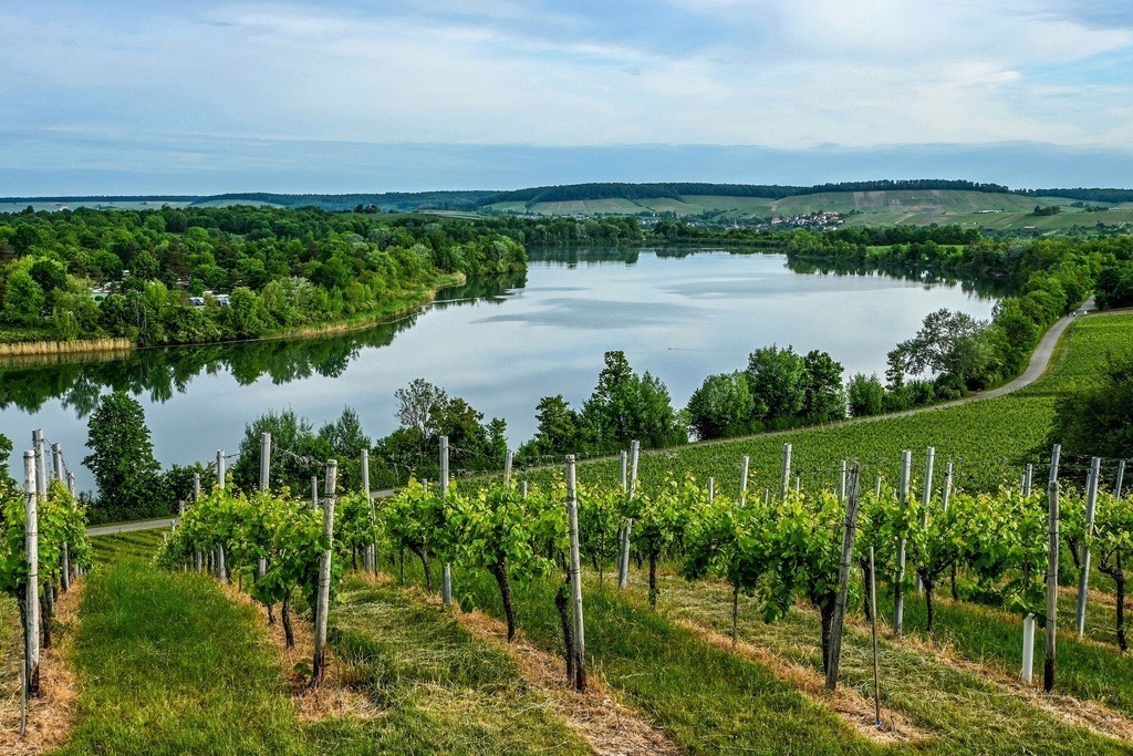 PSX_20250604_111414-04-01-01 | Kaufen sie online außergewöhnliche Fotografien auf Leinwand Acrylglas Fotoprint Aludibond von holgerweigeltfotografie - Realisiert mit Pictrs.com