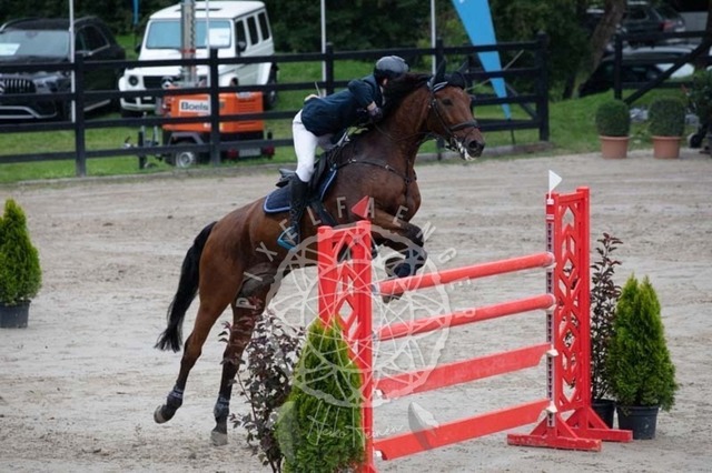 2B4A2607 | pixelfaenger - Realisiert mit Pictrs.com