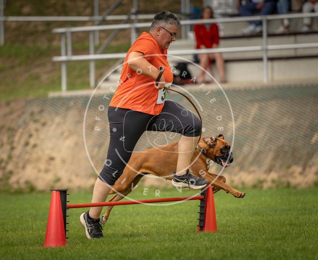 Pfotenfotografie_DV3A1878 | Hundefotografie, Tierfotograf, Pfotenfotografie, Fotoshooting Hund, Hunde Portrait, Hundesport, Hundeportraits, Heideshooting, Hunde, Sportfotograf, Hundefotograf, Turnierhundsport, THS,  - Realisiert mit Pictrs.com