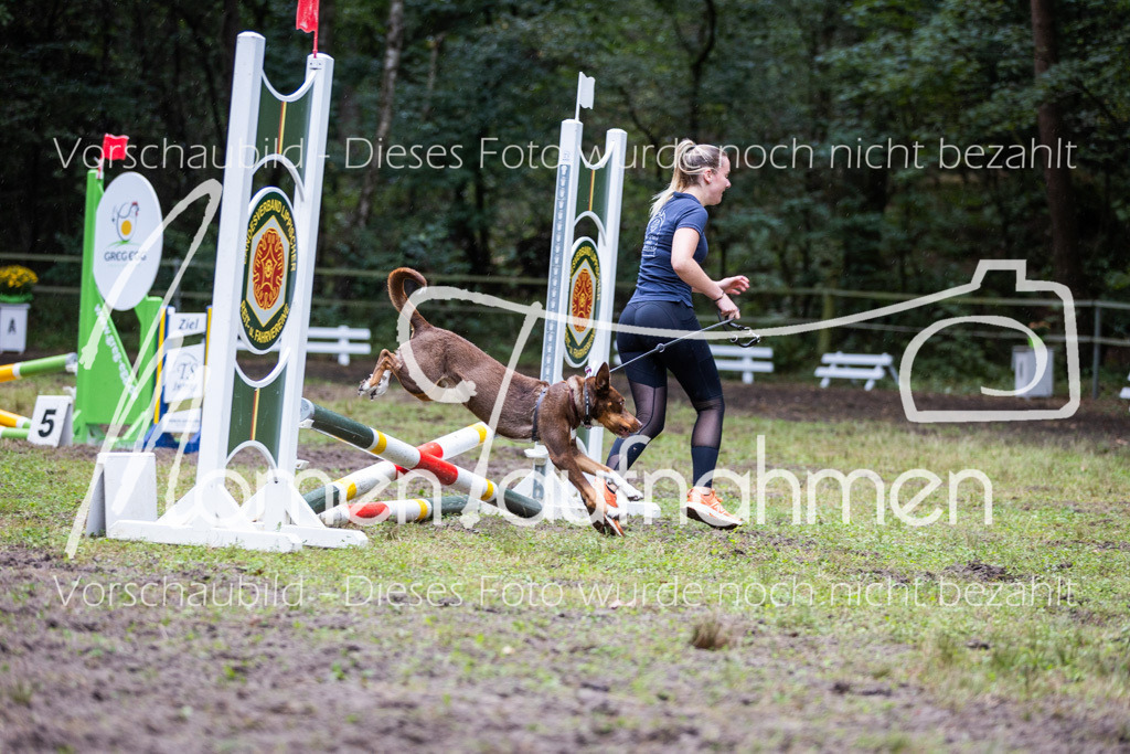 HB-JaD-035 | MomenTaufnahmen Pferdesportfotos