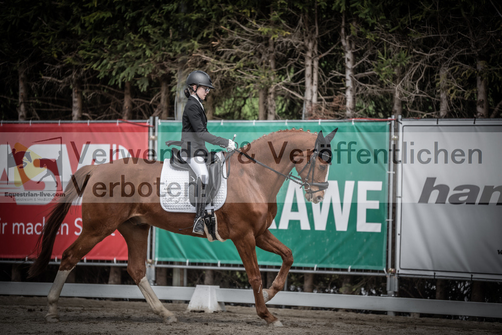 DSC_3258 | equestrian-live-com
