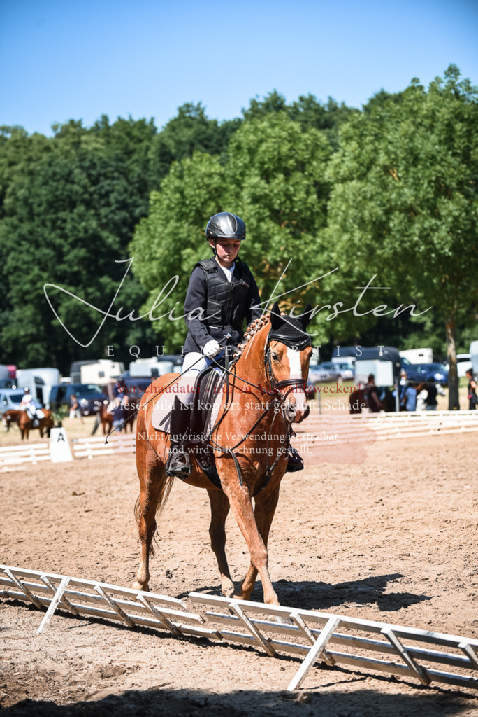 DSC_3277 | Pferde- und Turnierfotografie in Westsachsen. Pferdeportraits, Auftragszeichnungen und intuitive Kunst.