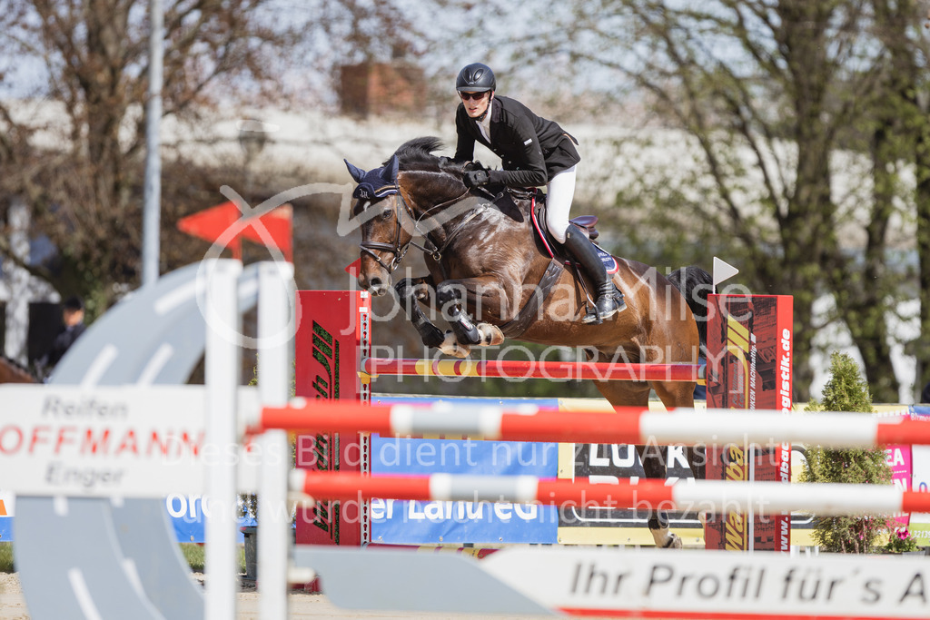 230501_SpengeW_M2St-110 | Deine schönsten Turniermomente als professionelle Fotos! Entdecke hochwertige Pferdesport-Fotografie im Online-Shop. Jetzt Fotos finden & bestellen!
