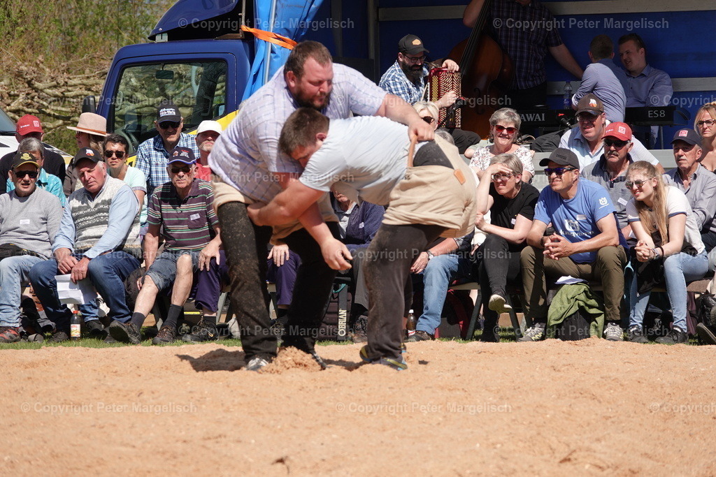 DSC02339 | Schwingen - Realisiert mit Pictrs.com