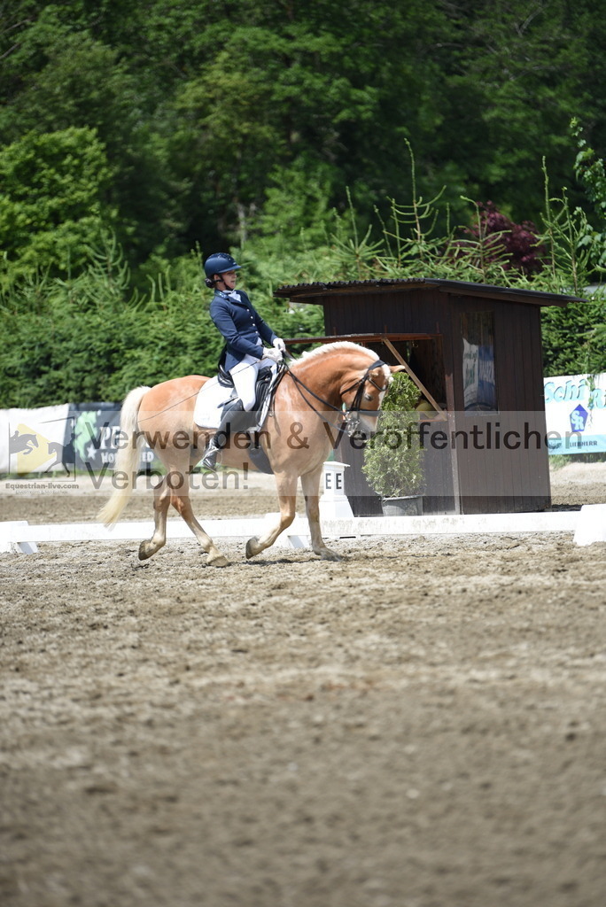 DSC_1303 | equestrian-live-com