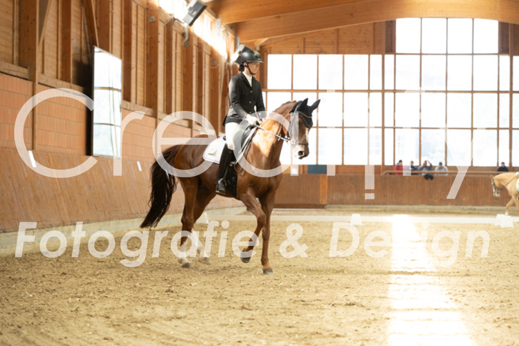 IMG_1251 | Creatify Fotografie