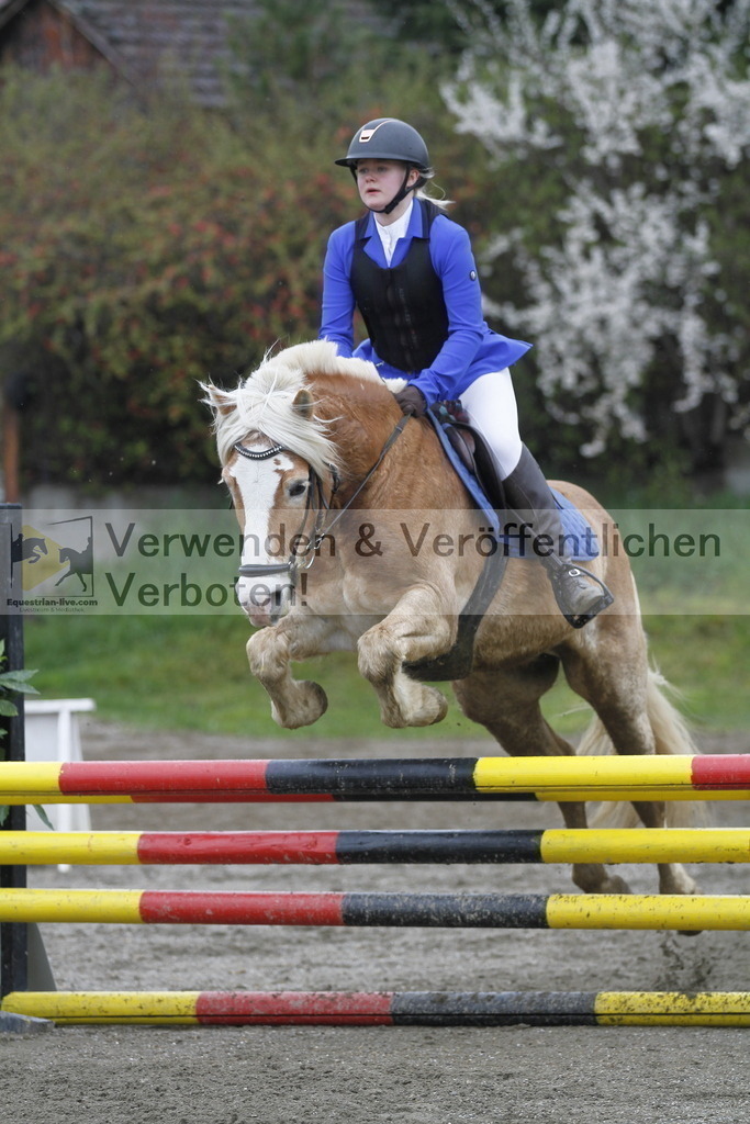 _MG_3447 | equestrian-live-com