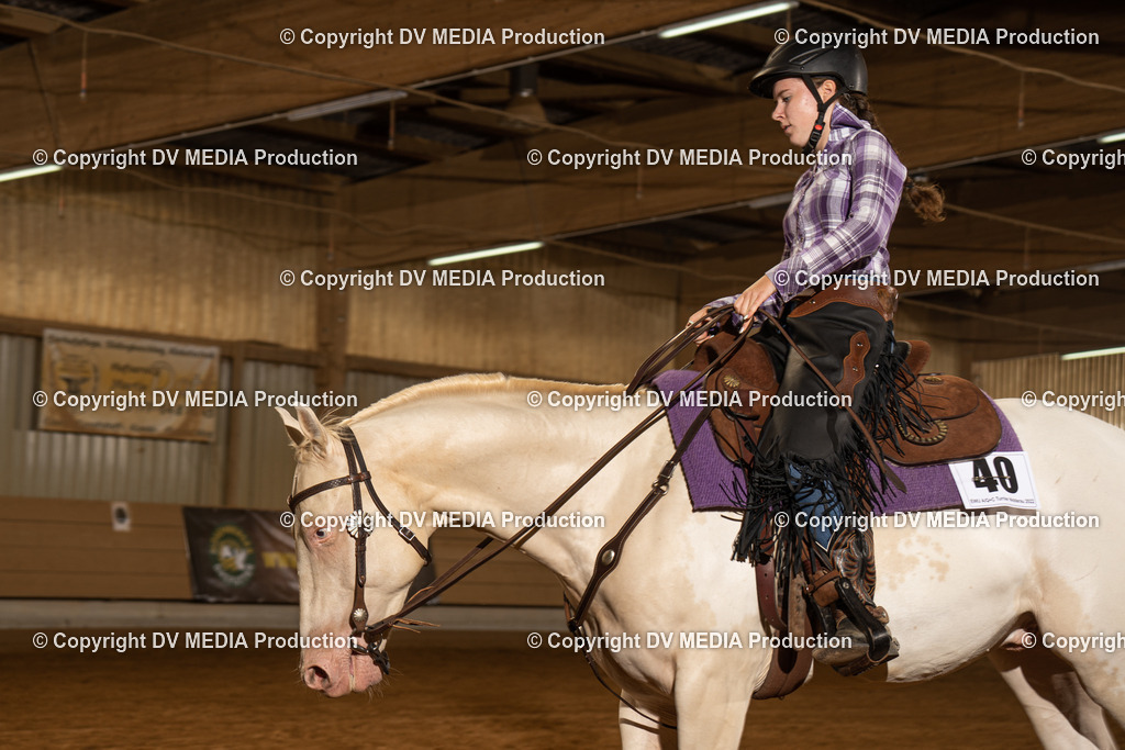 NID01378 | dv-media-shop - Realisiert mit Pictrs.com