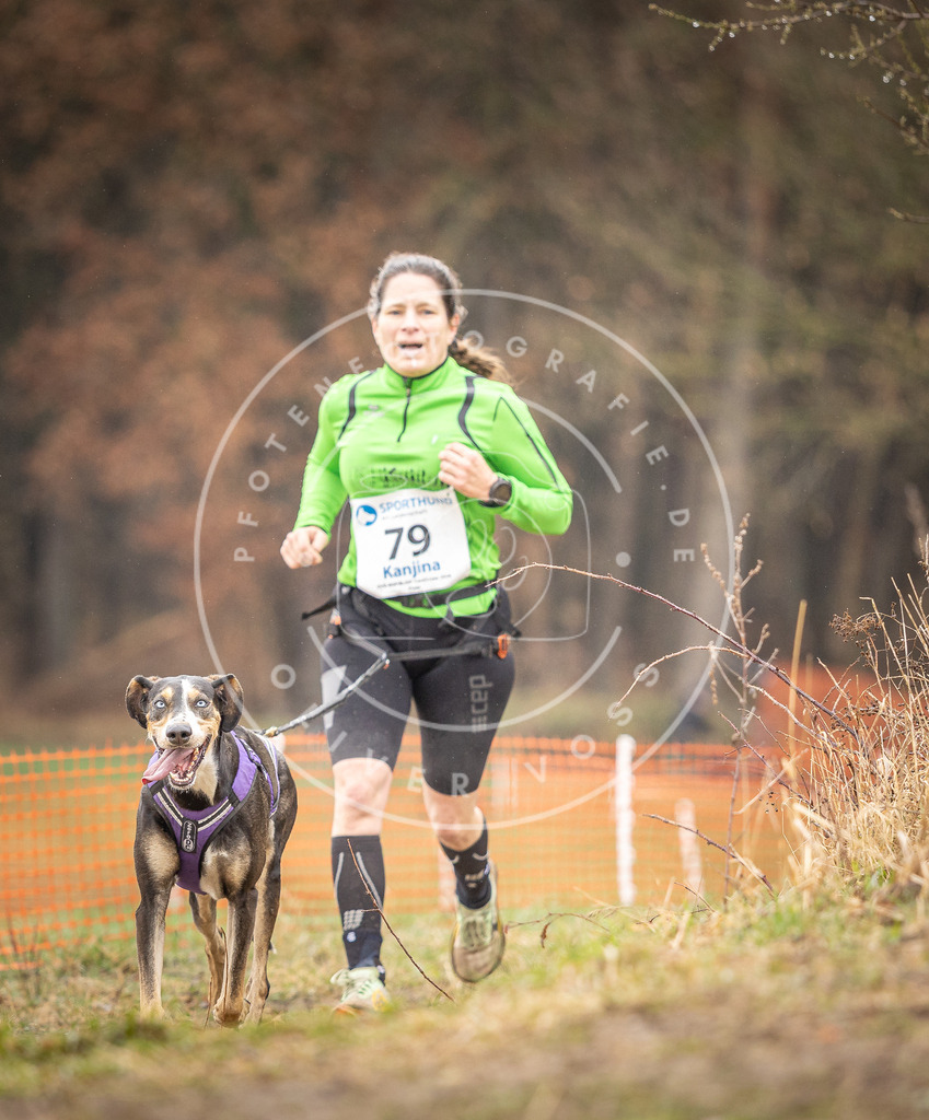 DV3A0313 | Hundefotografie, Tierfotograf, Pfotenfotografie, Fotoshooting Hund, Hunde Portrait, Hundesport, Hundeportraits, Heideshooting, Hunde, Sportfotograf, Hundefotograf, Turnierhundsport, THS,  - Realisiert mit Pictrs.com