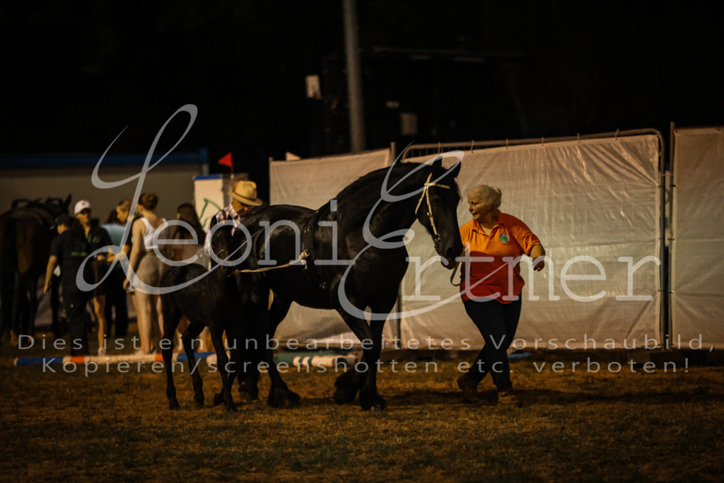 SaShow00345 | Leoni Ertmer Photography - Realisiert mit Pictrs.com