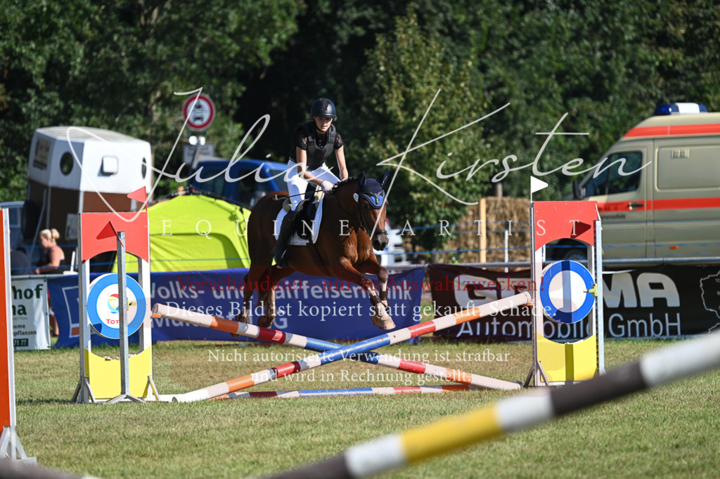 DSC_5343 | Pferde- und Turnierfotografie in Westsachsen. Pferdeportraits, Auftragszeichnungen und intuitive Kunst.