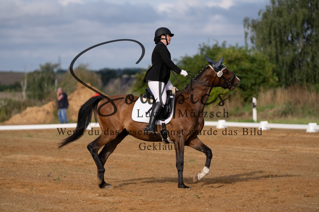 A7V03753 | Turnier/Reitfotograf