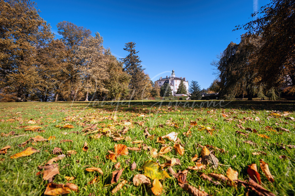 DSC00702 | Professioneller Fotograf - Bildbestellung online - Wandbilder vom Profi für ihr Zuhause, Büro, Praxis, Firma - große Auswahl an Materialien und Formaten, über 1400 regionale Motive