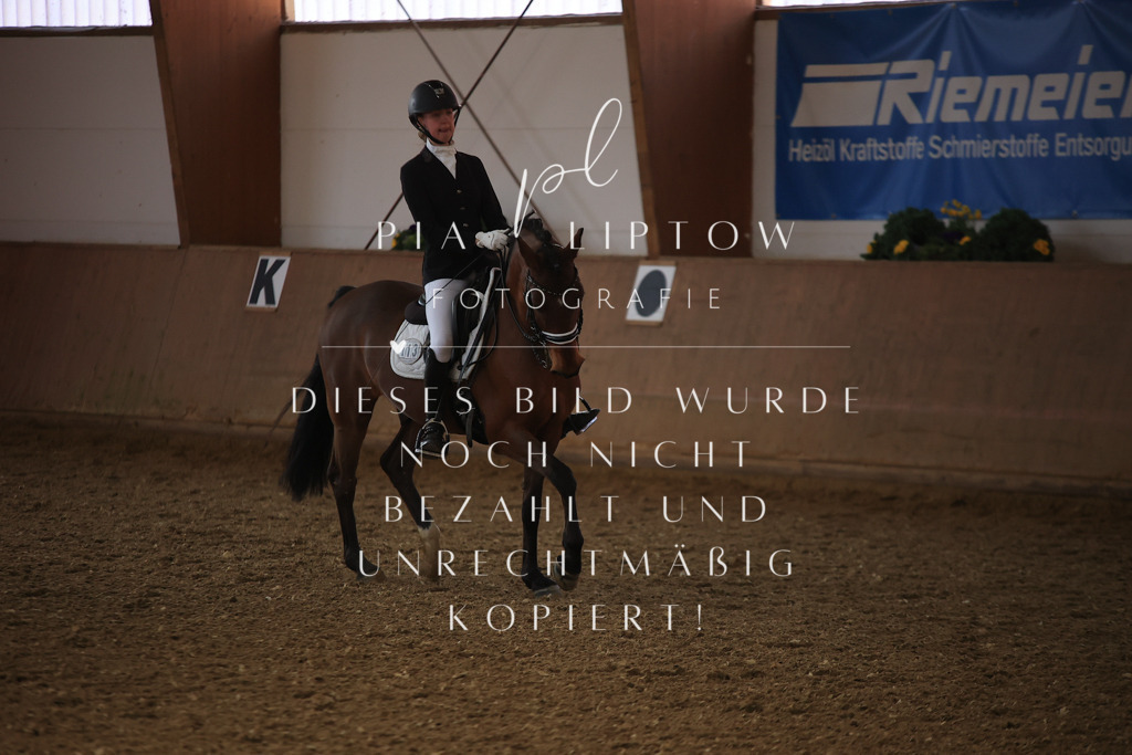 IMGT3297 | pl-fotografie