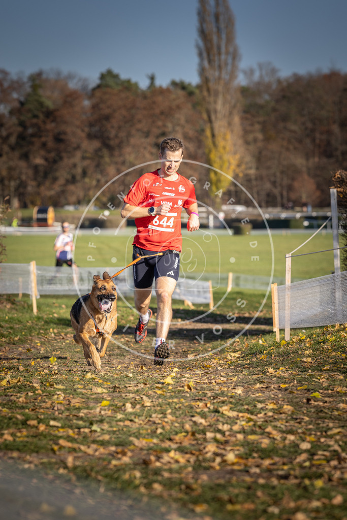 CaniXpix_DV3A0402 | Hundefotografie, Tierfotograf, Pfotenfotografie, Fotoshooting Hund, Hunde Portrait, Hundesport, Hundeportraits, Heideshooting, Hunde, Sportfotograf, Hundefotograf, Turnierhundsport, THS,  - Realisiert mit Pictrs.com