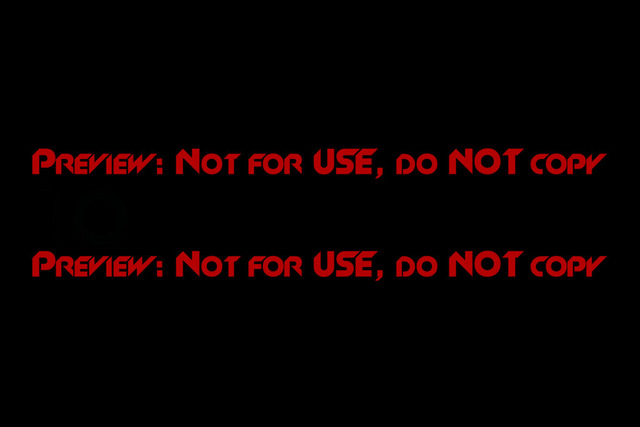 MaZZes_Fotomatrix_20240929_6007705_8442 | OPEN