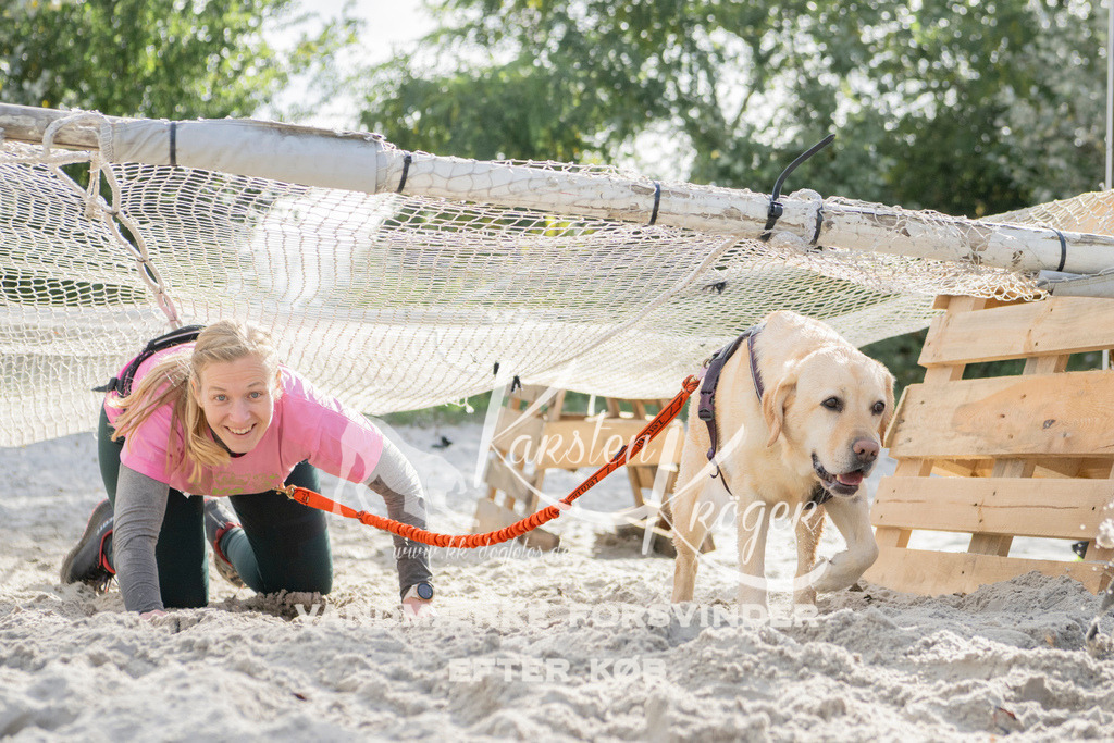 1340_ZZ98364 | kk-dogfotos