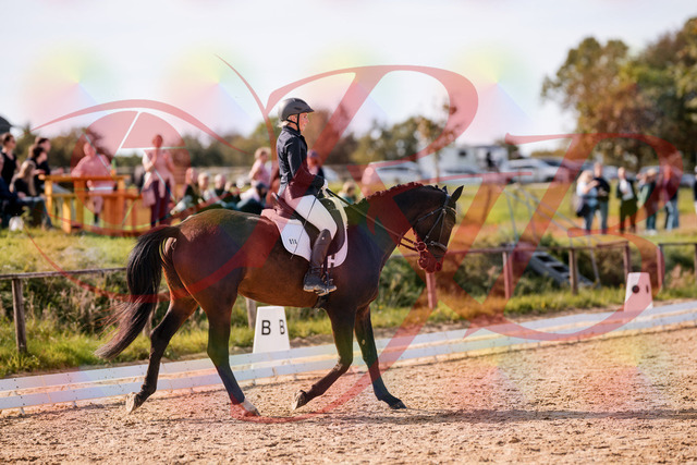 2026_10_03_Siefer-Hof_133823_Z81_95861727 | Professionelle Reitsport-, Turnier- und Eventfotografie von Robert Broda. Galerien mit ausgewählten und bearbeiteten Bildern direkt online ansehen und bestellen.