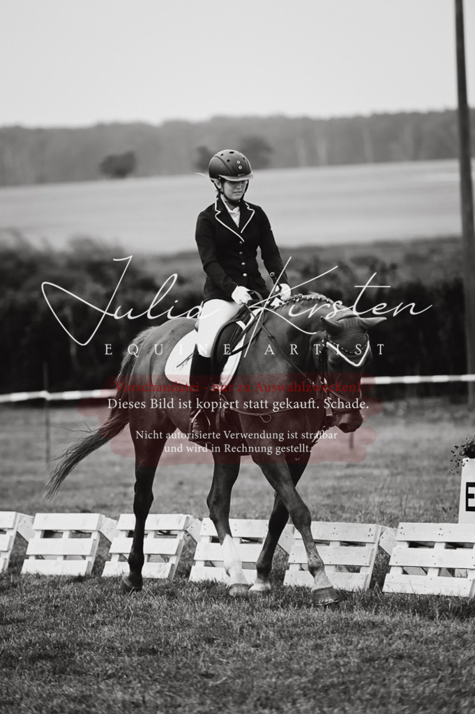 DSC_4847 | Pferde- und Turnierfotografie in Westsachsen. Pferdeportraits, Auftragszeichnungen und intuitive Kunst.