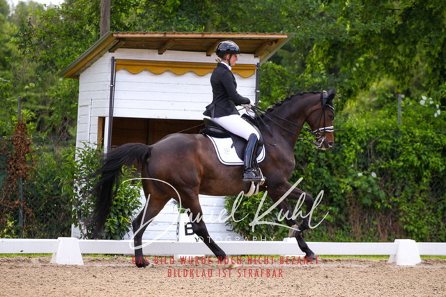 DKP40887 | Turnierfotos kaufen im Webshop von Daniel Kuhl Photography – entdecke professionelle Reitsportfotos aus Turnieren & Events. Hochwertige Turnierbilder online bestellen & sichern. Jetzt Fotos von Reitsportturnieren kaufen!