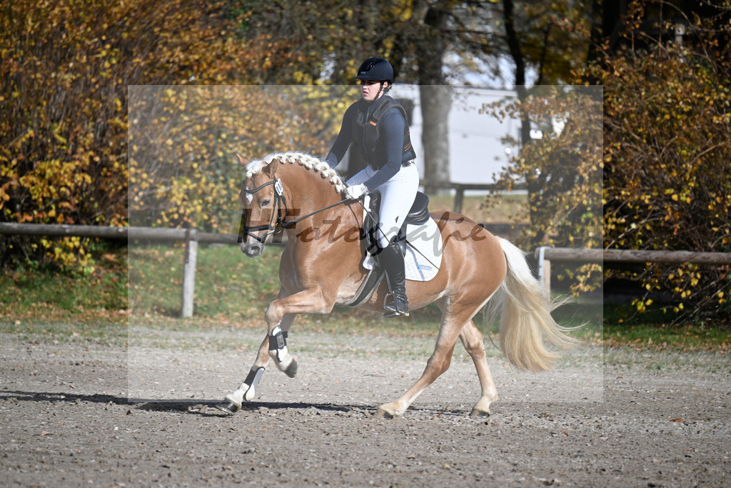 Kat-Nr. 3 Benz-E v. Blitz-U_Wendlinger_43250513 | hf-fotografie - Realisiert mit Pictrs.com