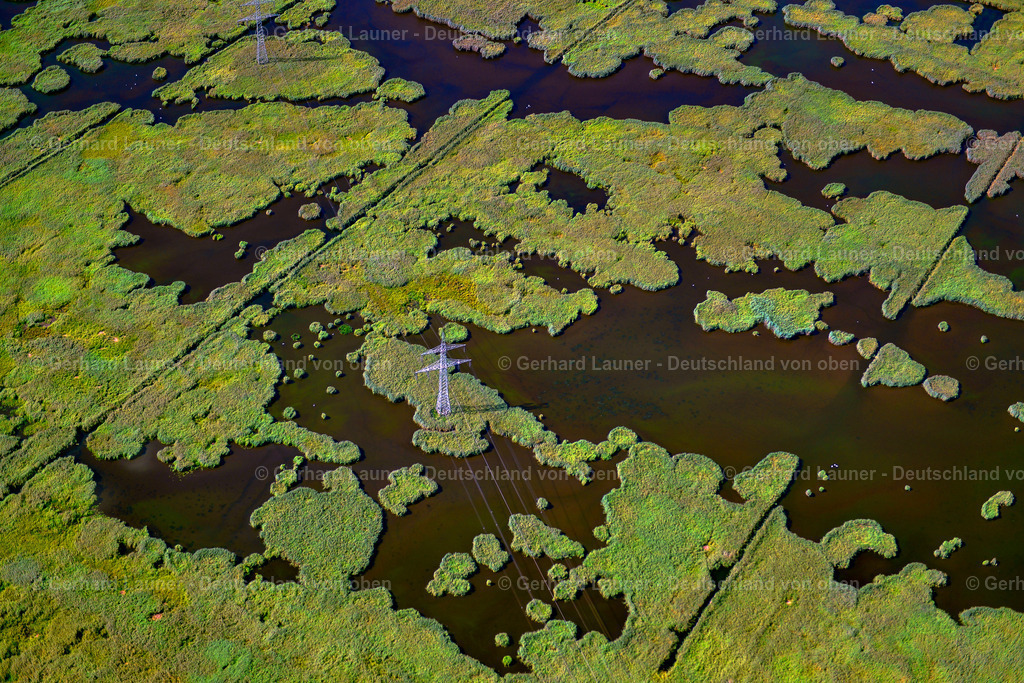 3637372 | Spreewald Unesco-Biosphärenreservat, LüBBEN (SPREEWALD) 25.08.2016 Feuchtgebiet bei Lübben (Spreewald) im Bundesland Brandenburg. // Wet area near Luebben (Spreewald) in the state Brandenburg. Foto: Gerhard Launer