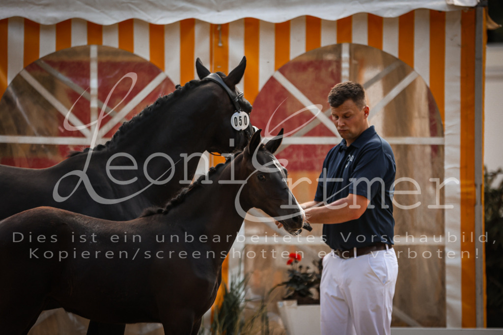 10.DoRP00072 | Leoni Ertmer Photography - Realisiert mit Pictrs.com