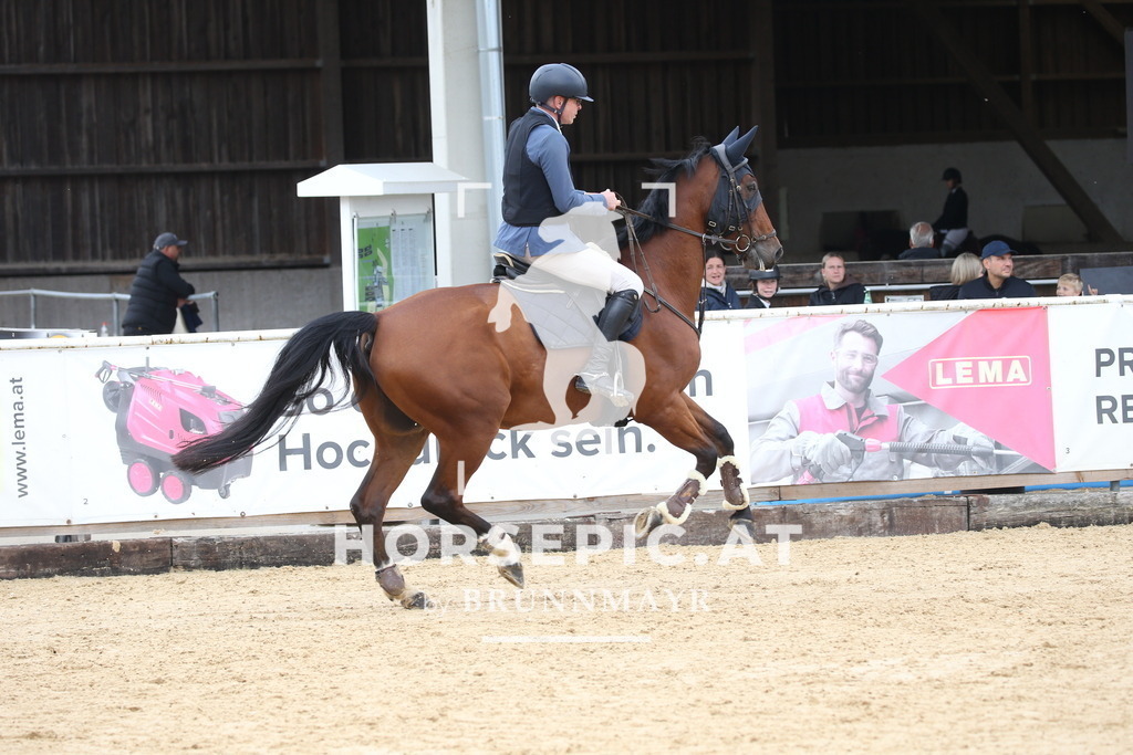 DL2Q4688 | Willkommen bei Brunnmayr - Design & Fotografie – Ihrem Spezialisten für Reitturniere und Pferdeveranstaltungen in Oberösterreich, Salzburg und Bayern! Seit über 17 Jahren sind wir leidenschaftlich dabei.