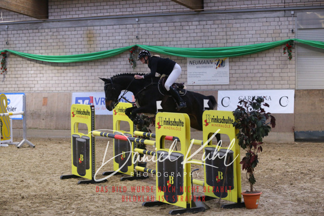 IMG_0890 | Turnierfotos kaufen im Webshop von Daniel Kuhl Photography – entdecke professionelle Reitsportfotos aus Turnieren & Events. Hochwertige Turnierbilder online bestellen & sichern. Jetzt Fotos von Reitsportturnieren kaufen!