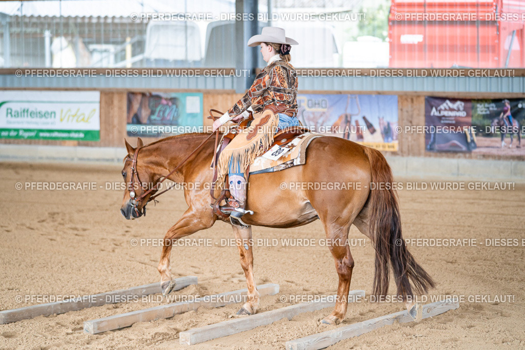 DSC07805 | Pferdegrafie