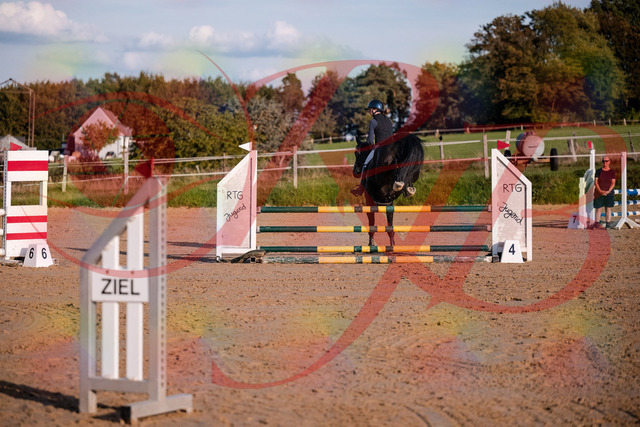 2026_10_03_Siefer-Hof_171541_Z81_13118450 | Professionelle Reitsport-, Turnier- und Eventfotografie von Robert Broda. Galerien mit ausgewählten und bearbeiteten Bildern direkt online ansehen und bestellen.