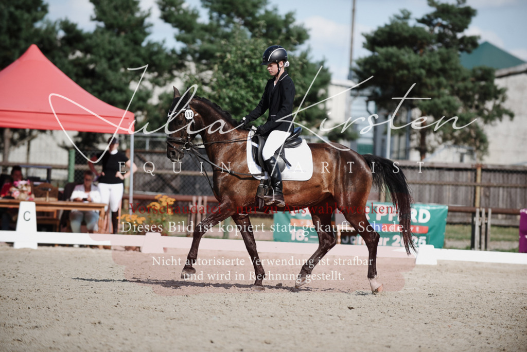 DSC_0072 | Pferde- und Turnierfotografie in Westsachsen. Pferdeportraits, Auftragszeichnungen und intuitive Kunst.