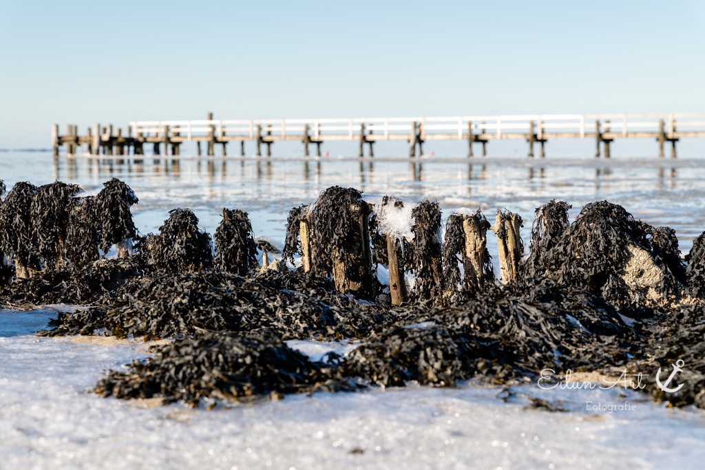 20250217-EAF_7231 | Eilun-Art-Fotografie Levke Martens, ihre Fotografin für Immobilien- und Landschaftsfotografie auf Föhr, Föhrer Motive als Poster, Leinwand, hinter Acrylglas oder stelle dir deinen eigenen Monatskalender zusammen, mit nur einem Klick