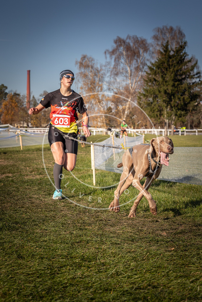 CaniXpix_0L8A8565 | Hundefotografie, Tierfotograf, Pfotenfotografie, Fotoshooting Hund, Hunde Portrait, Hundesport, Hundeportraits, Heideshooting, Hunde, Sportfotograf, Hundefotograf, Turnierhundsport, THS,  - Realisiert mit Pictrs.com