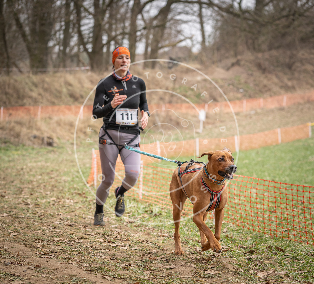 Pfotenfotografie_DV3A7538 | Hundefotografie, Tierfotograf, Pfotenfotografie, Fotoshooting Hund, Hunde Portrait, Hundesport, Hundeportraits, Heideshooting, Hunde, Sportfotograf, Hundefotograf, Turnierhundsport, THS,  - Realisiert mit Pictrs.com
