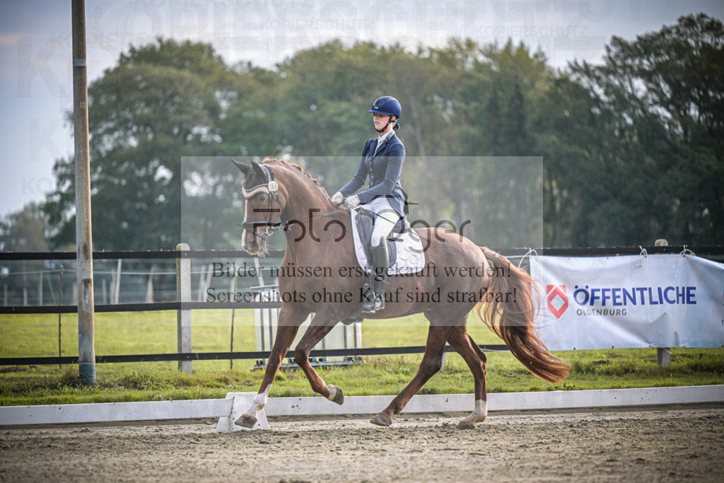 DOS_3039 | Entdecke hochwertige Reitturnierfotos von Foto Oger. Professionell, emotional und authentisch – jetzt Lieblingsmomente im Shop bestellen.Deutschlandweite Turnierfotografie. - Realisiert mit Pictrs.com