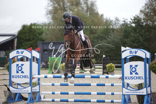 1J2A9041Jordi Sander_ Kracher 3_ Kn607_ Havekost | Foto- und Videografie für alles rund ums Pferd. Hochwertige Bilder und Videos vom Spring- und Dressurreiten, Voltigieren & mehr. Jetzt aktuelle Veranstaltungen und Preise im Shop ansehen. - Realisiert mit Pictrs.com