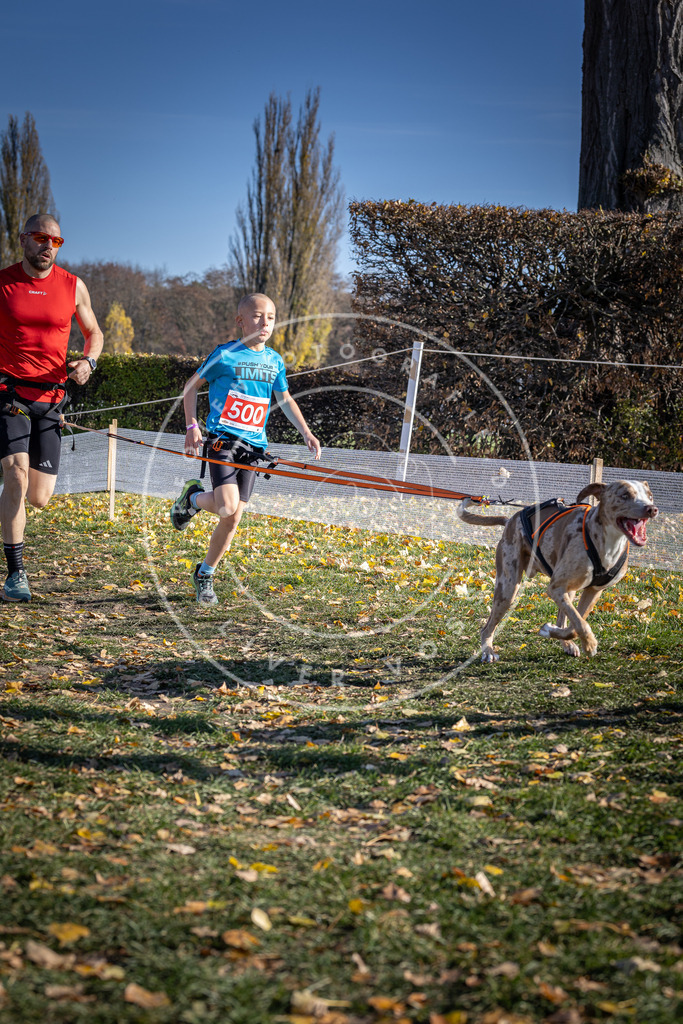 CaniXpix_DV3A7809 | Hundefotografie, Tierfotograf, Pfotenfotografie, Fotoshooting Hund, Hunde Portrait, Hundesport, Hundeportraits, Heideshooting, Hunde, Sportfotograf, Hundefotograf, Turnierhundsport, THS,  - Realisiert mit Pictrs.com