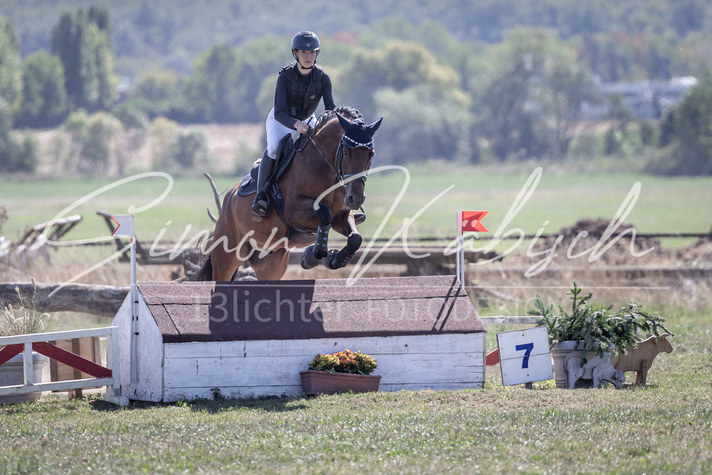 20260906-_3LI3780 | Tierfotografie Pferde, Hunde, Katzen, Haustiere.
Turnierfotografie Reitturniere, Reiten, Springreiten, Dressur in Hanau, dem Main-Kinzig-Kreis und dem Rhein-Main- Gebiet um Frankfurt