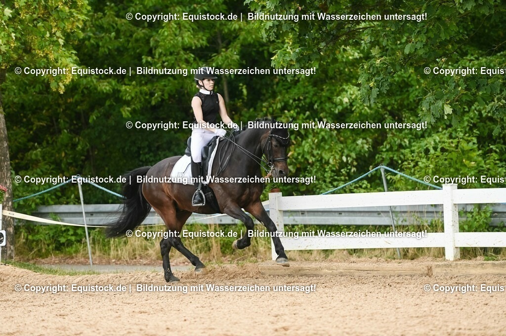 20230716_01_Dressurprüfung Kl.M_0470 | equistock